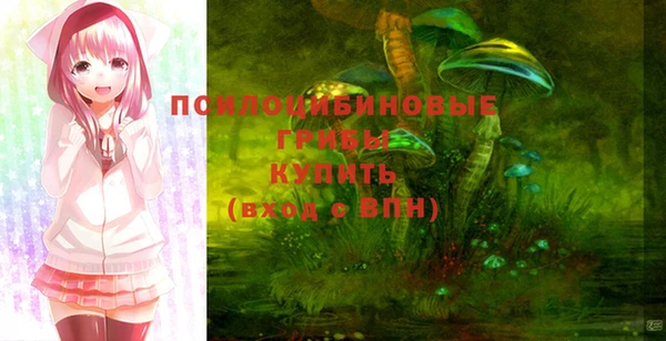 ГАЛЛЮЦИНОГЕННЫЕ ГРИБЫ Белокуриха