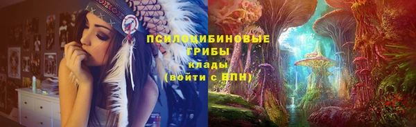 ГАЛЛЮЦИНОГЕННЫЕ ГРИБЫ Белокуриха