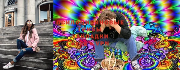 ГАЛЛЮЦИНОГЕННЫЕ ГРИБЫ Белокуриха