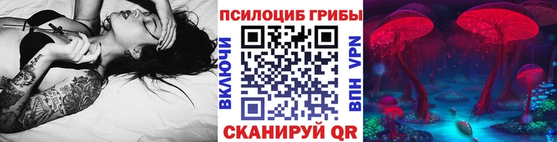 купить Плёс Галлюциногенные грибы Psilocybe