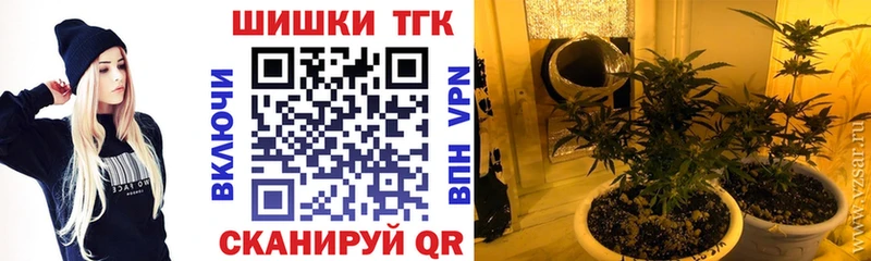 продажа наркотиков  Плёс  МАРИХУАНА план 